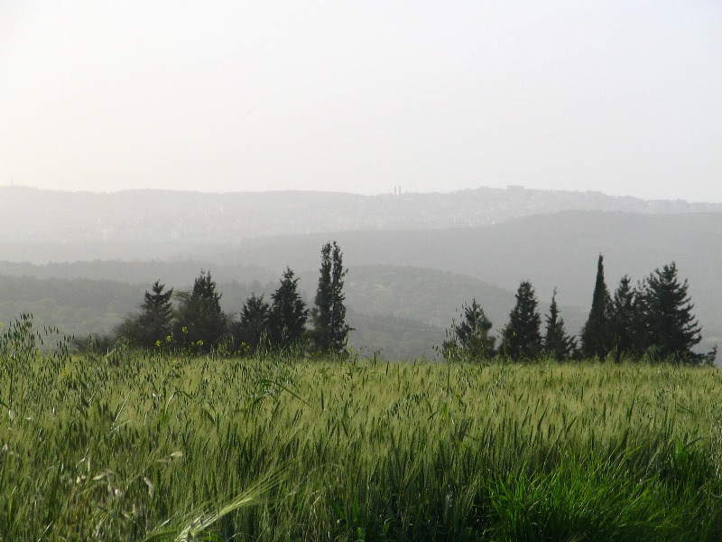 הר תבור