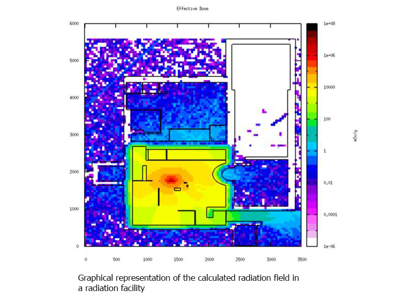 Graphical representation of the calculated radiation field in a ...