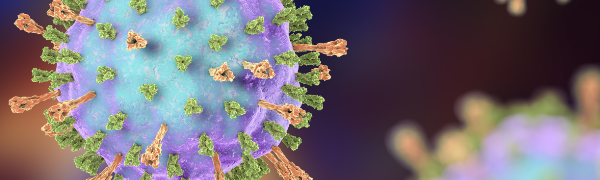 Заболевание паротит (Свинка) | Министерство здравоохранения