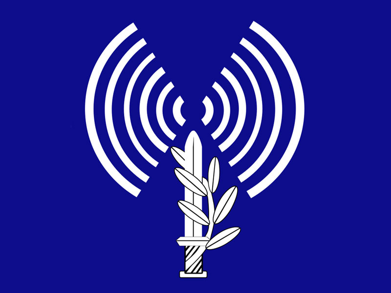 IDF Spokesperson Press Release