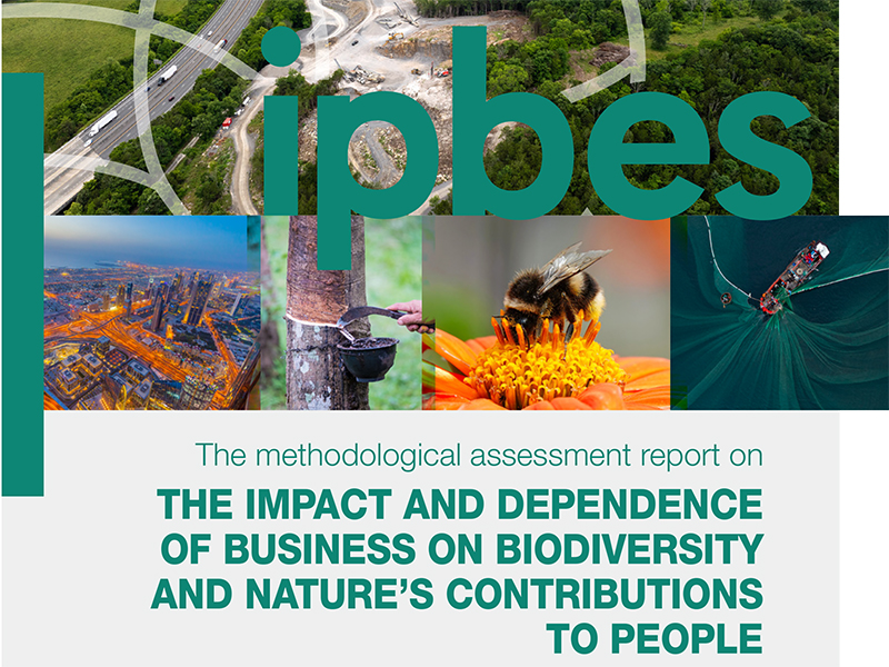 Cover Page Summary For Policymakers Of The Methodological Assessment 
