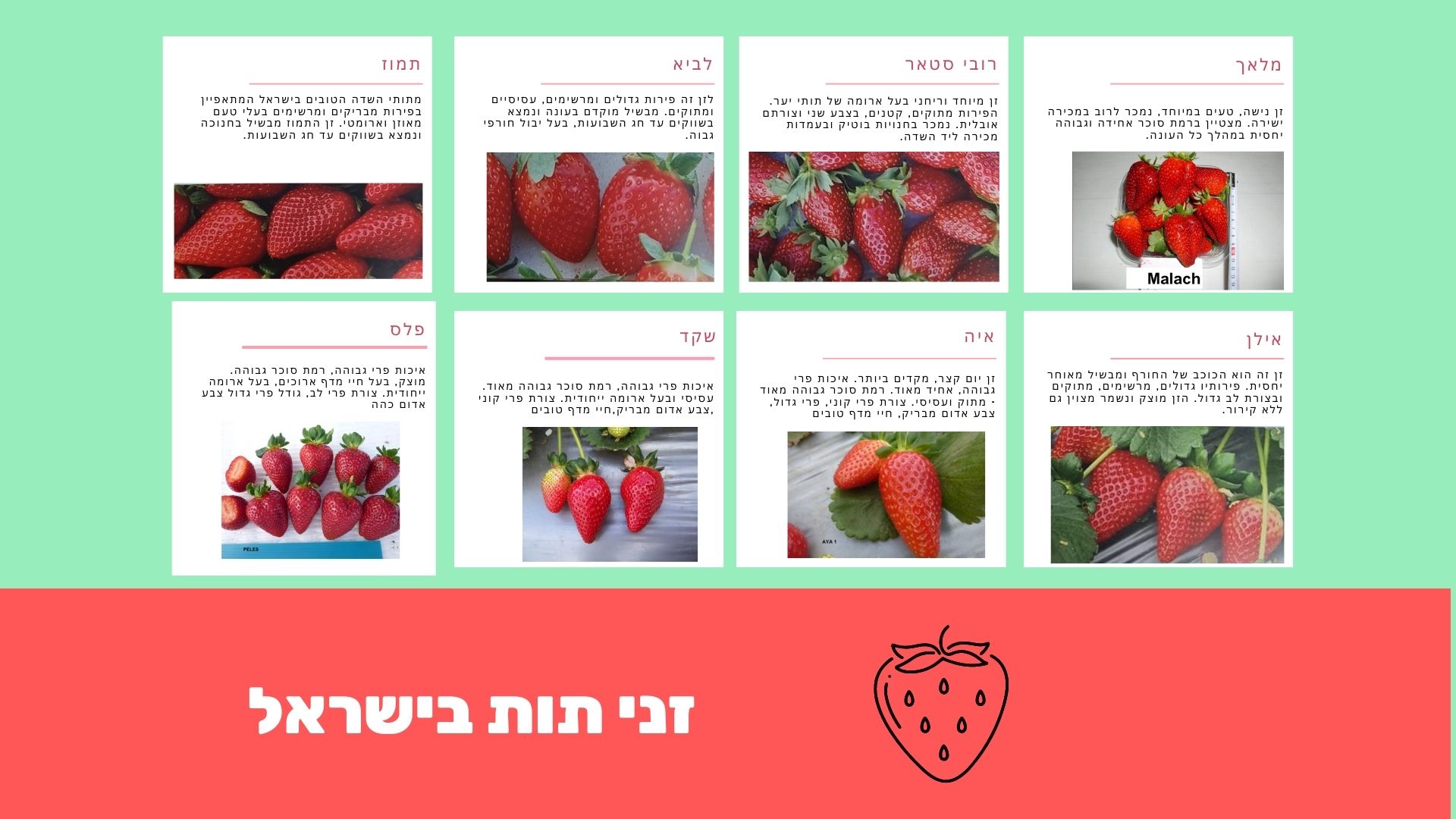 זני תות בישראל