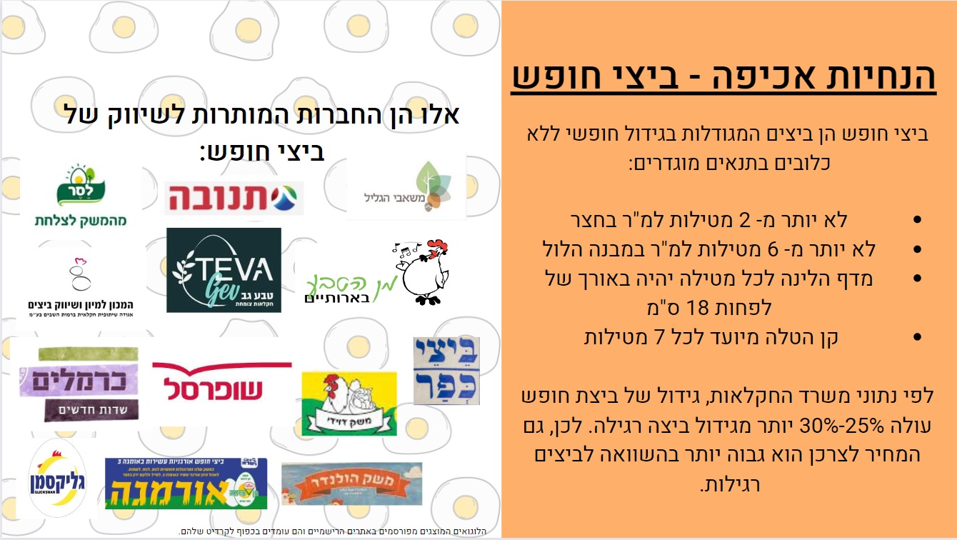 ביצי חופש