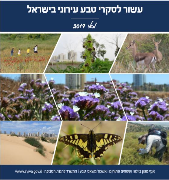 כריכת החוברת