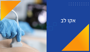 אקו לב