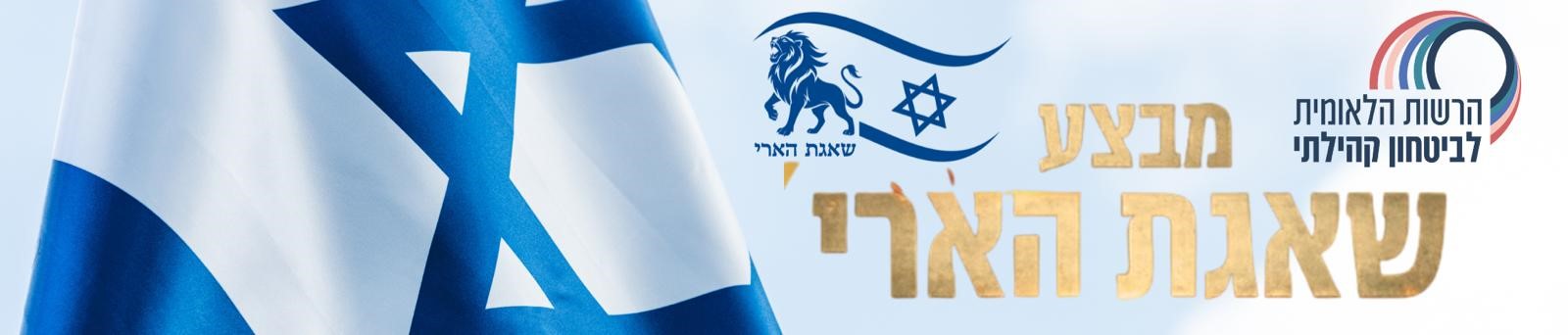 מבצע שאגת הארי