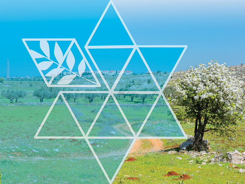 לוגו אגף התיישבות