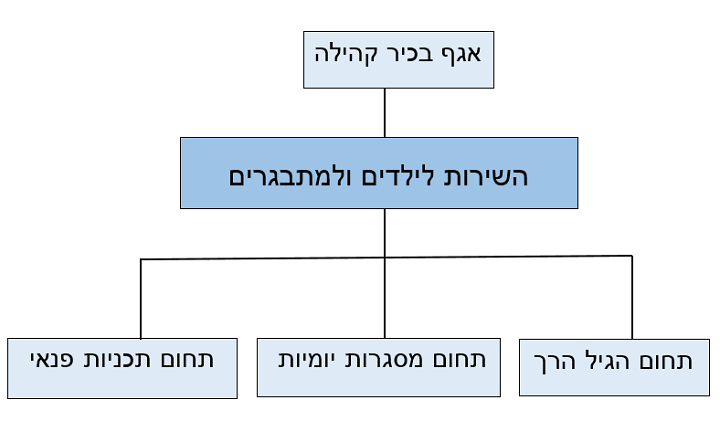 מבנה ארגוני