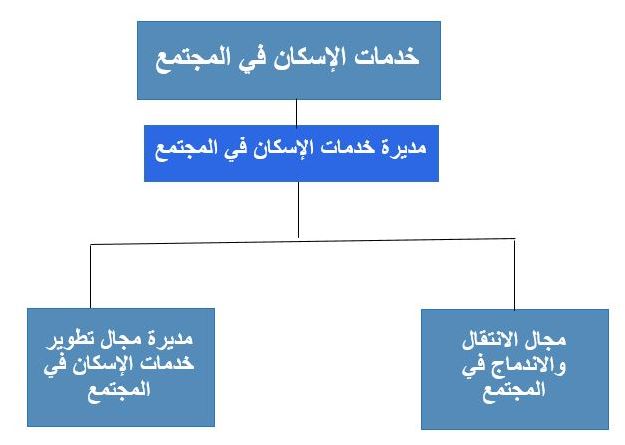 البنية التنظيمية