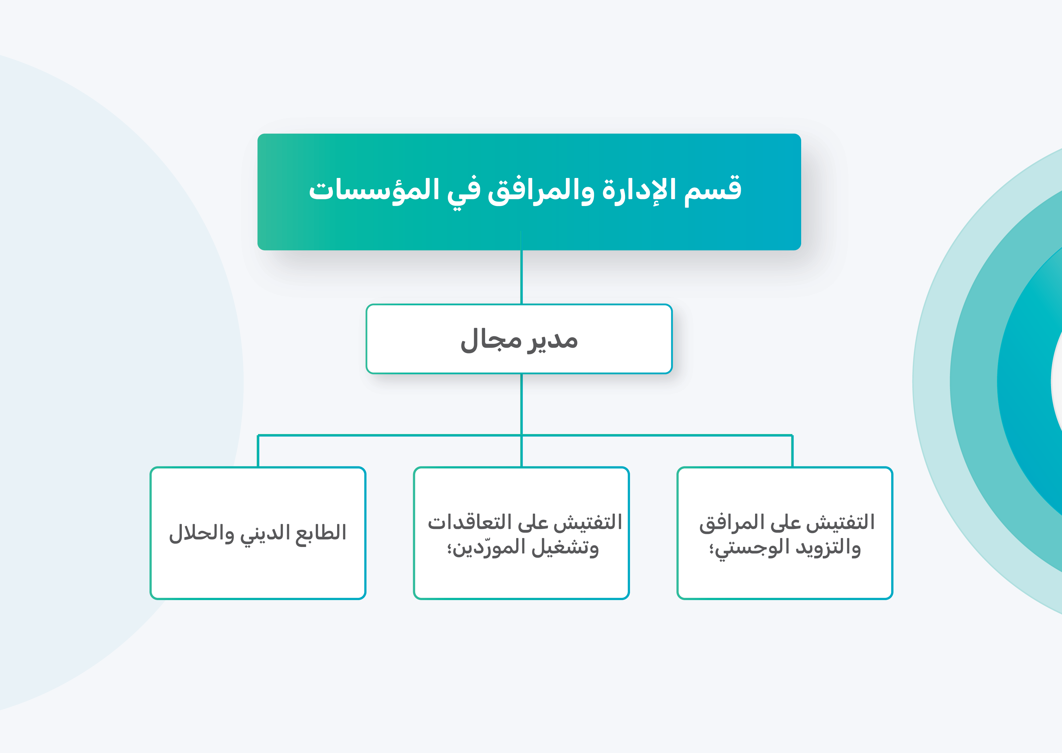 البنية التنظيمية: البنية التنظيمية: