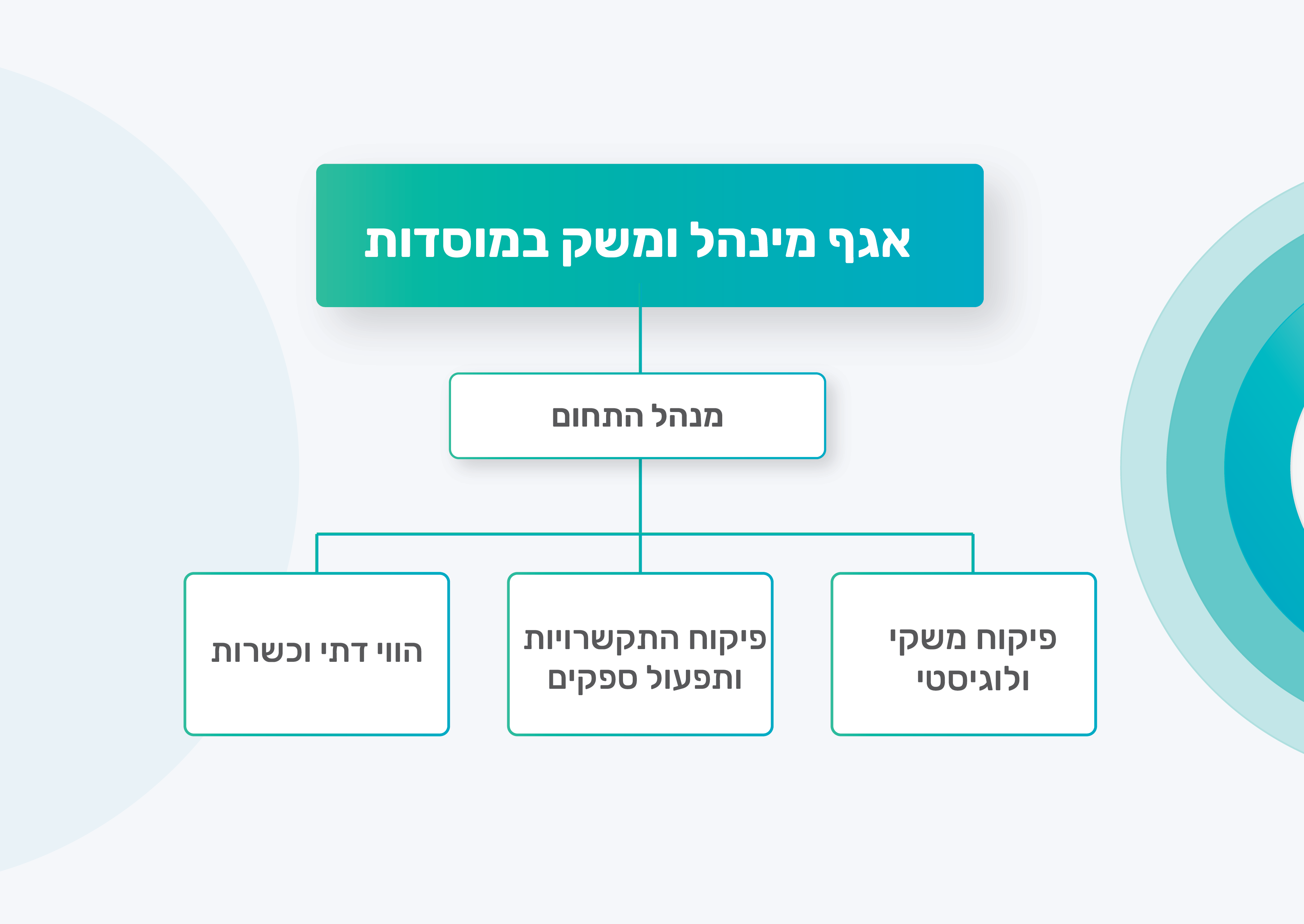 מבנה ארגוני של היחידה