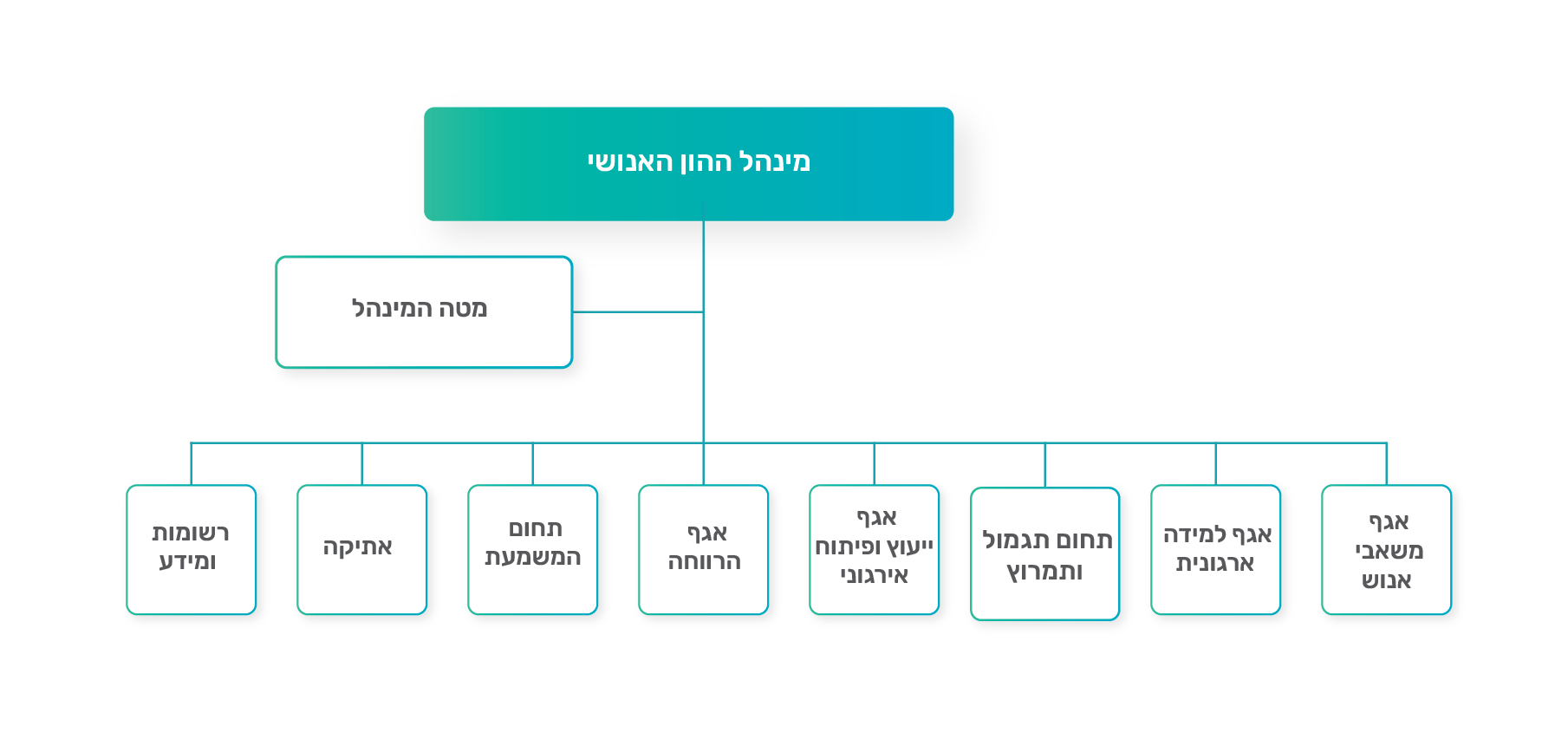 מבנה היחידה מבנה היחידה