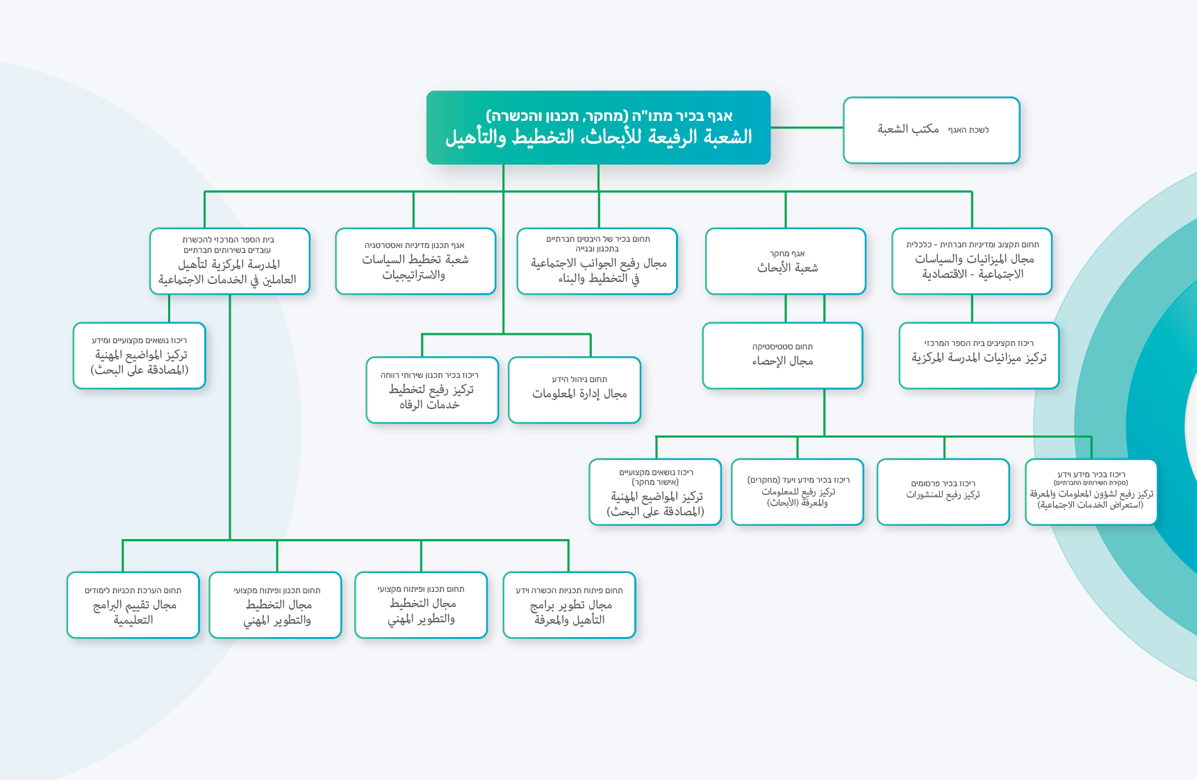 البنية التنظيمية البنية التنظيمية