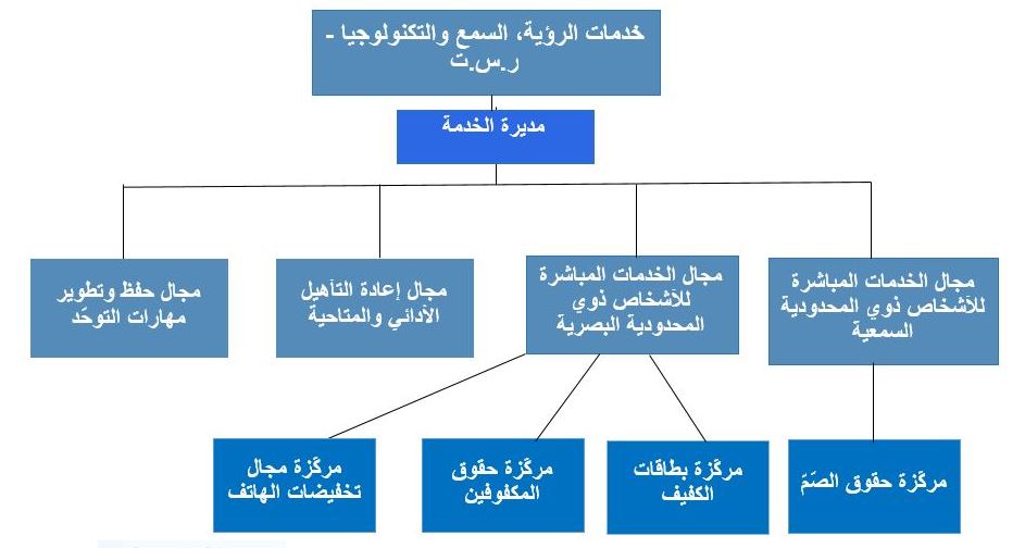 البنية التنظيمية لخدمات الرؤية، السمع والتكنولوجيا (ر.س.ت)
