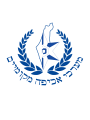 מערכי אכיפה מקומיים לוגו