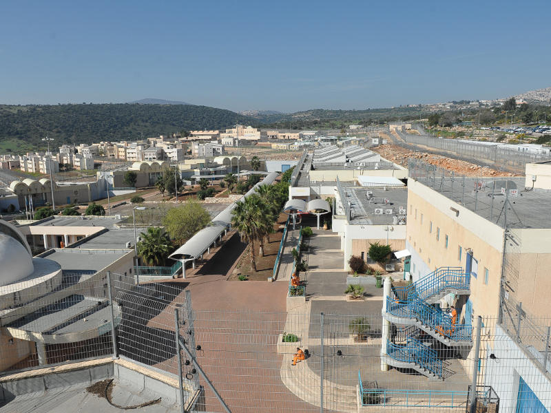 צלמון צלמון